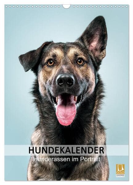 Hundekalender - Hunderassen im Portrait (Wandkalender 2026 DIN A3 hoch), CALVENDO Monatskalender