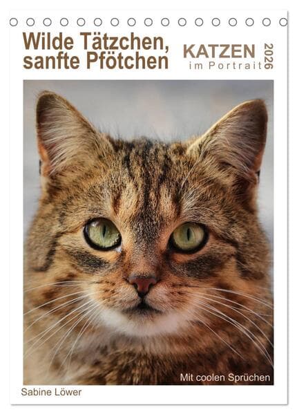 Wilde Tätzchen, sanfte Pfötchen (Tischkalender 2026 DIN A5 hoch), CALVENDO Monatskalender