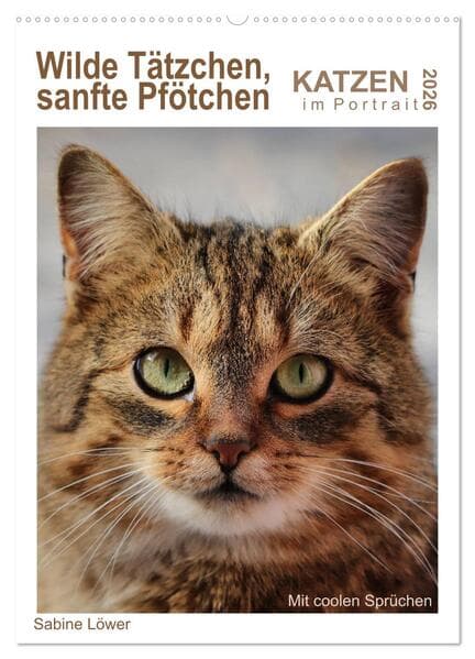 Wilde Tätzchen, sanfte Pfötchen (Wandkalender 2026 DIN A2 hoch), CALVENDO Monatskalender