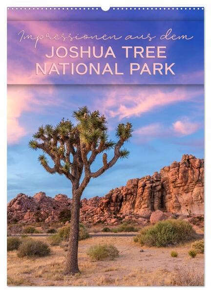 Impressionen aus dem JOSHUA TREE NATIONAL PARK (Wandkalender 2026 DIN A2 hoch), CALVENDO Monatskalen