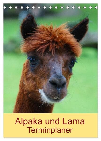 Alpaka und Lama Terminplaner (Tischkalender 2026 DIN A5 hoch), CALVENDO Monatskalender