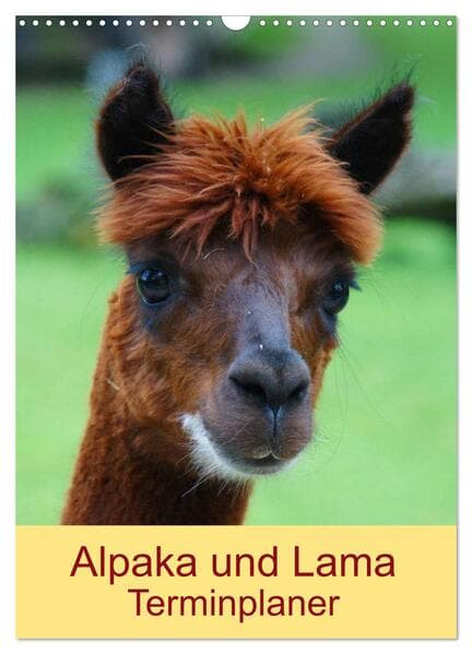 Alpaka und Lama Terminplaner (Wandkalender 2026 DIN A3 hoch), CALVENDO Monatskalender