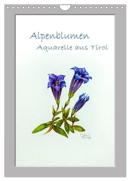 Alpenblumen Aquarelle aus Tirol (Wandkalender 2026 DIN A4 hoch), CALVENDO Monatskalender