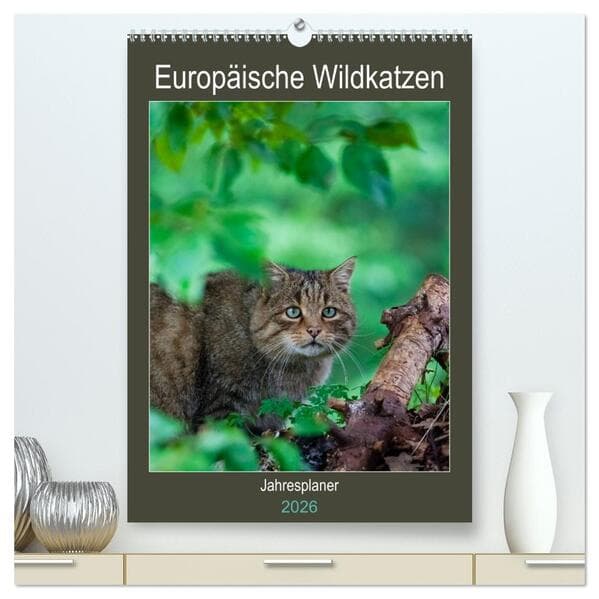 Europäische Wildkatzen - Jahresplaner (hochwertiger Premium Wandkalender 2026 DIN A2 hoch), Kunstdru