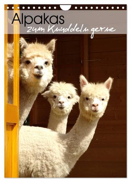 Alpakas zum Knuddeln gerne (Wandkalender 2026 DIN A4 hoch), CALVENDO Monatskalender