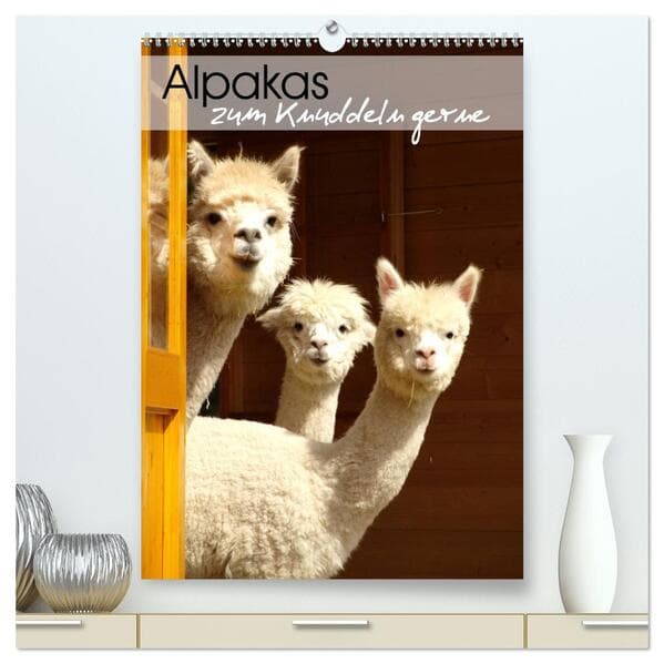 Alpakas zum Knuddeln gerne (hochwertiger Premium Wandkalender 2026 DIN A2 hoch), Kunstdruck in Hochg