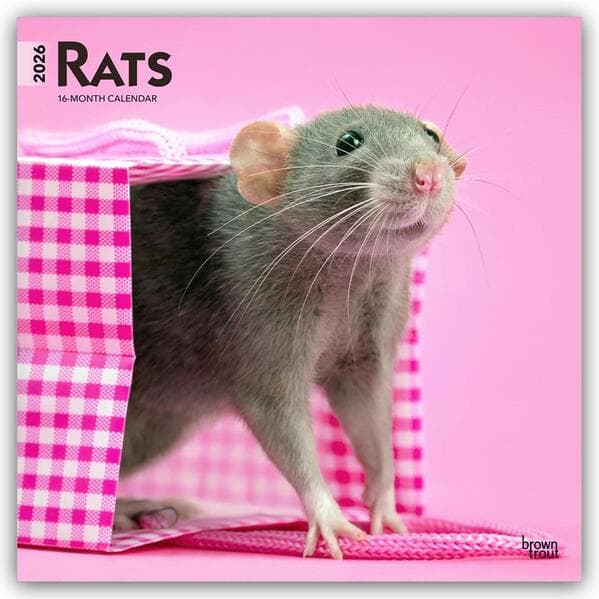 Rats 2026 12 X 24 Inch (Hanging) Monthly Square Wall Calendar Plastic-Free