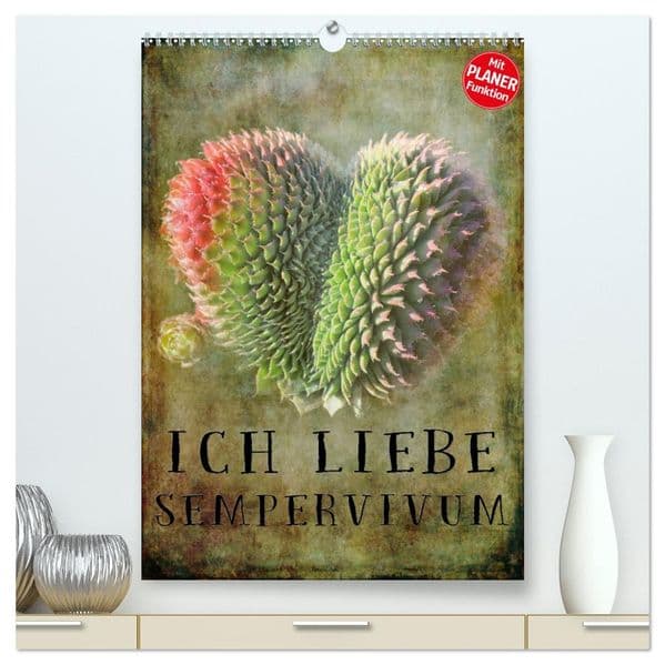 Ich liebe Sempervivum (hochwertiger Premium Wandkalender 2026 DIN A2 hoch), Kunstdruck in Hochglanz: Der ideale Kalender für alle Sempervivum Liebhaber