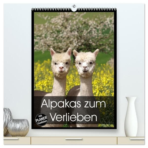 Alpakas zum Verlieben (hochwertiger Premium Wandkalender 2026 DIN A2 hoch), Kunstdruck in Hochglanz