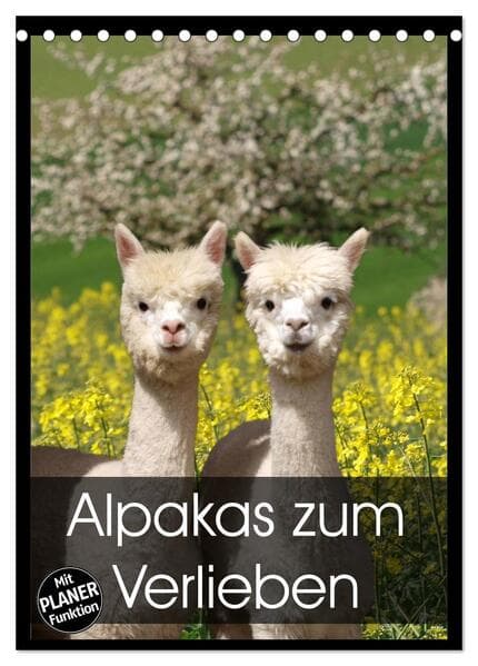 Alpakas zum Verlieben (Tischkalender 2026 DIN A5 hoch), CALVENDO Monatskalender
