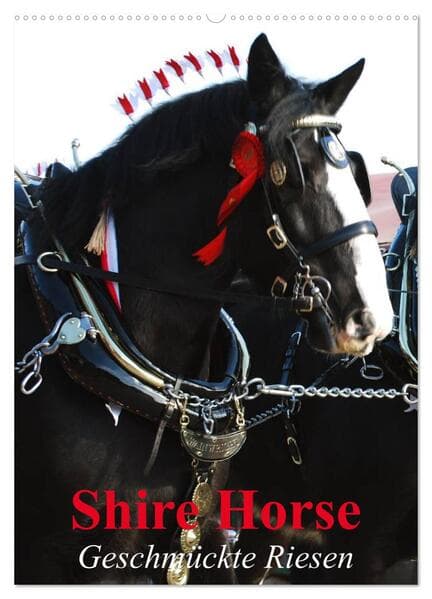 Shire Horse - Geschmückte Riesen (Wandkalender 2026 DIN A2 hoch), CALVENDO Monatskalender