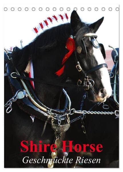 Shire Horse - Geschmückte Riesen (Tischkalender 2026 DIN A5 hoch), CALVENDO Monatskalender