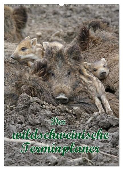 Der wildschweinische Terminplaner (Wandkalender 2026 DIN A2 hoch), CALVENDO Monatskalender