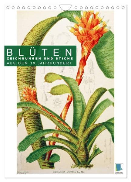 Blüten: Zeichnungen und Stiche aus dem 19. Jahrhundert (Wandkalender 2026 DIN A4 hoch), CALVENDO Monatskalender