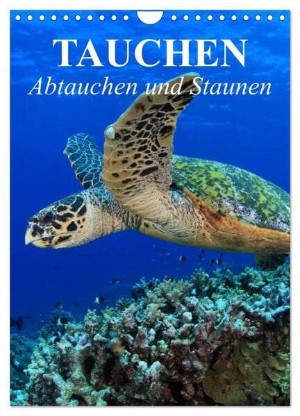 Tauchen - Abtauchen und Staunen (Wandkalender 2026 DIN A4 hoch), CALVENDO Monatskalender