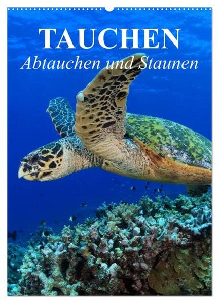 Tauchen - Abtauchen und Staunen (Wandkalender 2026 DIN A2 hoch), CALVENDO Monatskalender