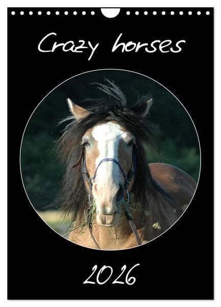 Crazy horses (Wandkalender 2026 DIN A4 hoch), CALVENDO Monatskalender