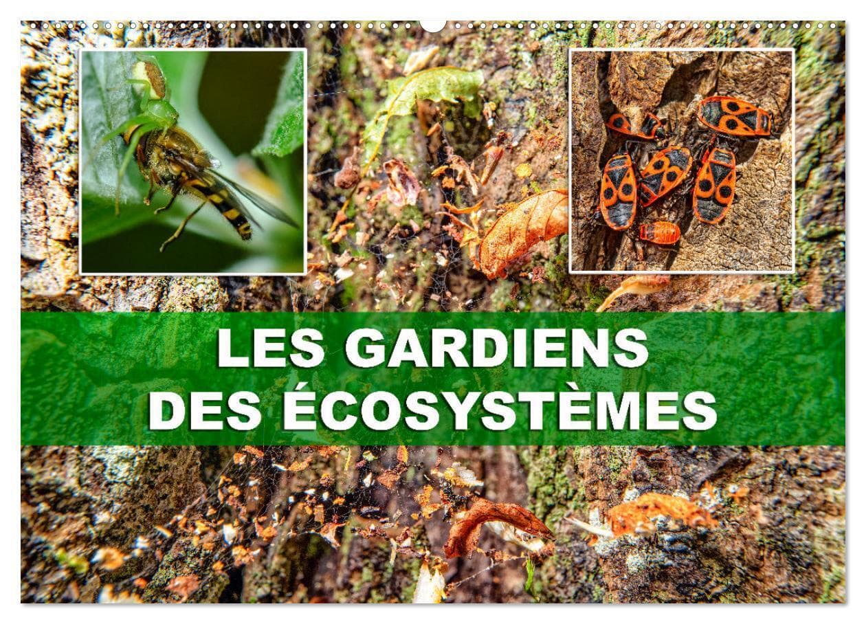 Les gardiens des écosystèmes (Calendrier mural 2026 DIN A2 vertical), CALVENDO calendrier mensuel