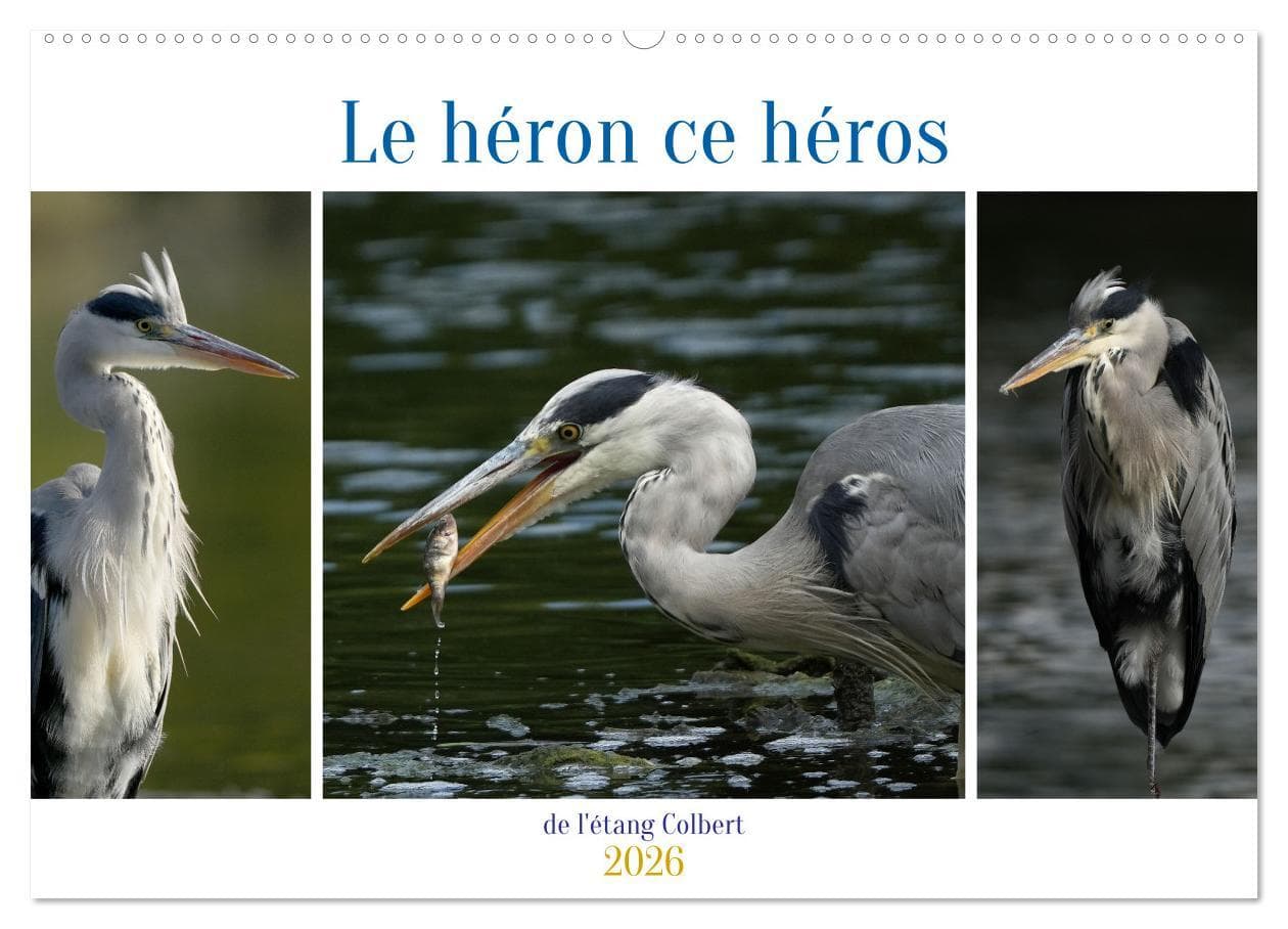 Le héron ce héros de l'étang Colbert (Calendrier mural 2026 DIN A2 vertical), CALVENDO calendrier mensuel