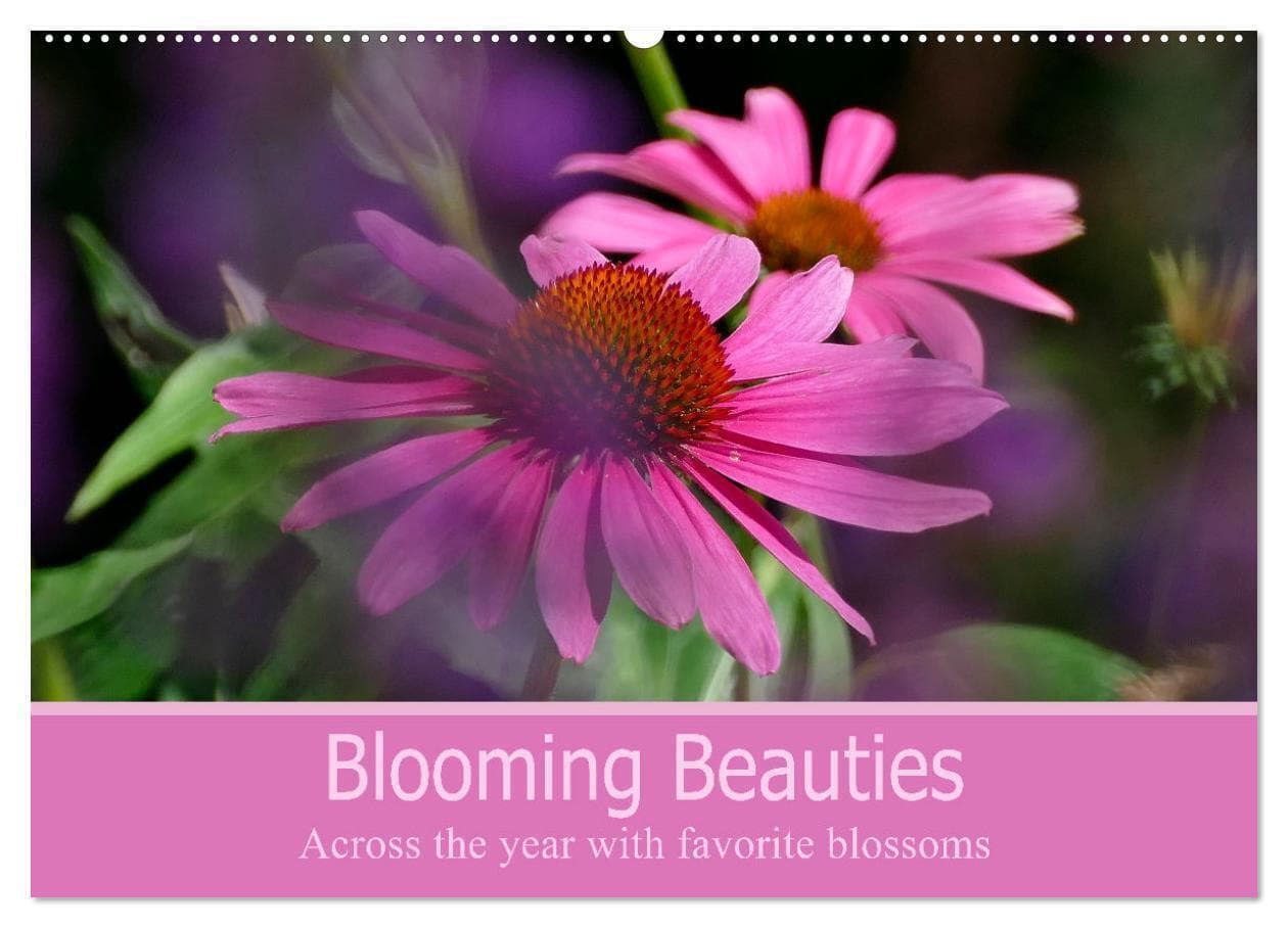 Blooming beauties (Wall Calendar 2026 DIN A2 landscape), CALVENDO 12 Month Wall Calendar