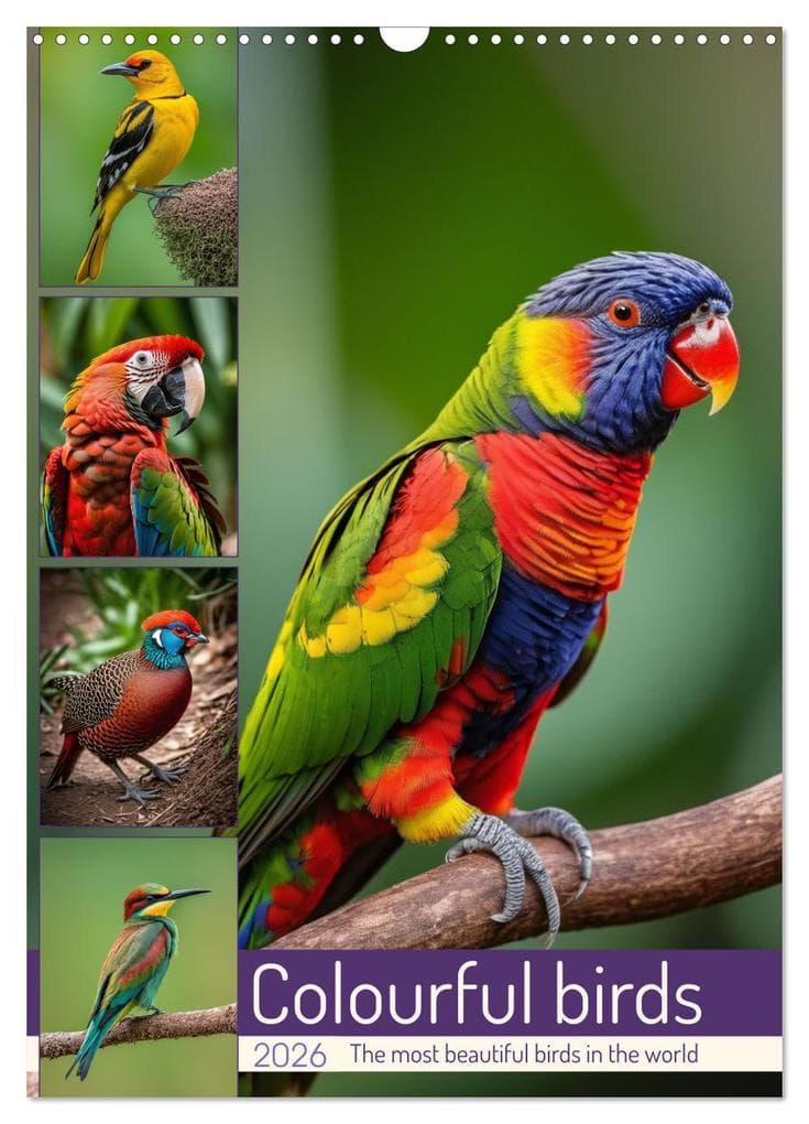Colourful birds (Wall Calendar 2026 DIN A3 portrait), CALVENDO 12 Month Wall Calendar