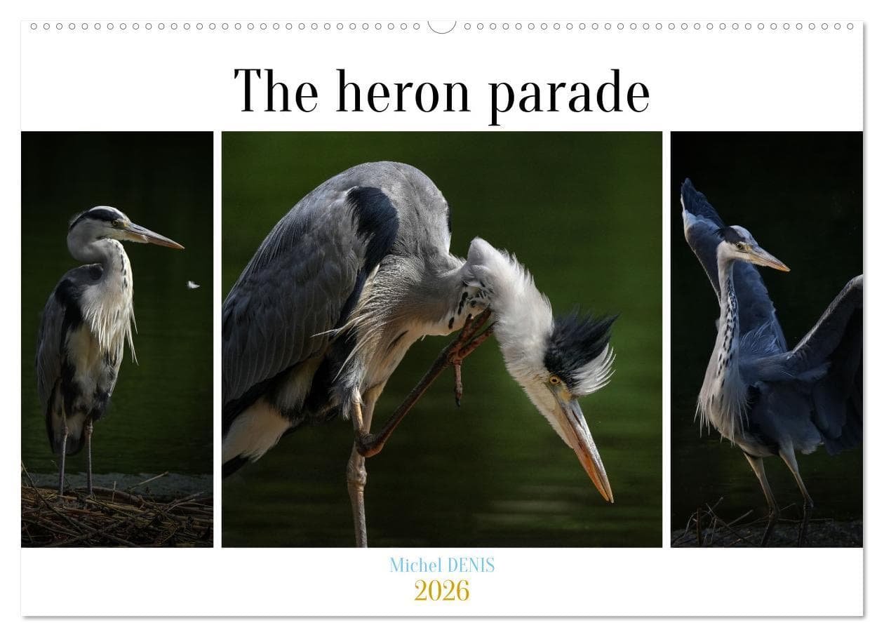 The heron parade (Wall Calendar 2026 DIN A2 landscape), CALVENDO 12 Month Wall Calendar