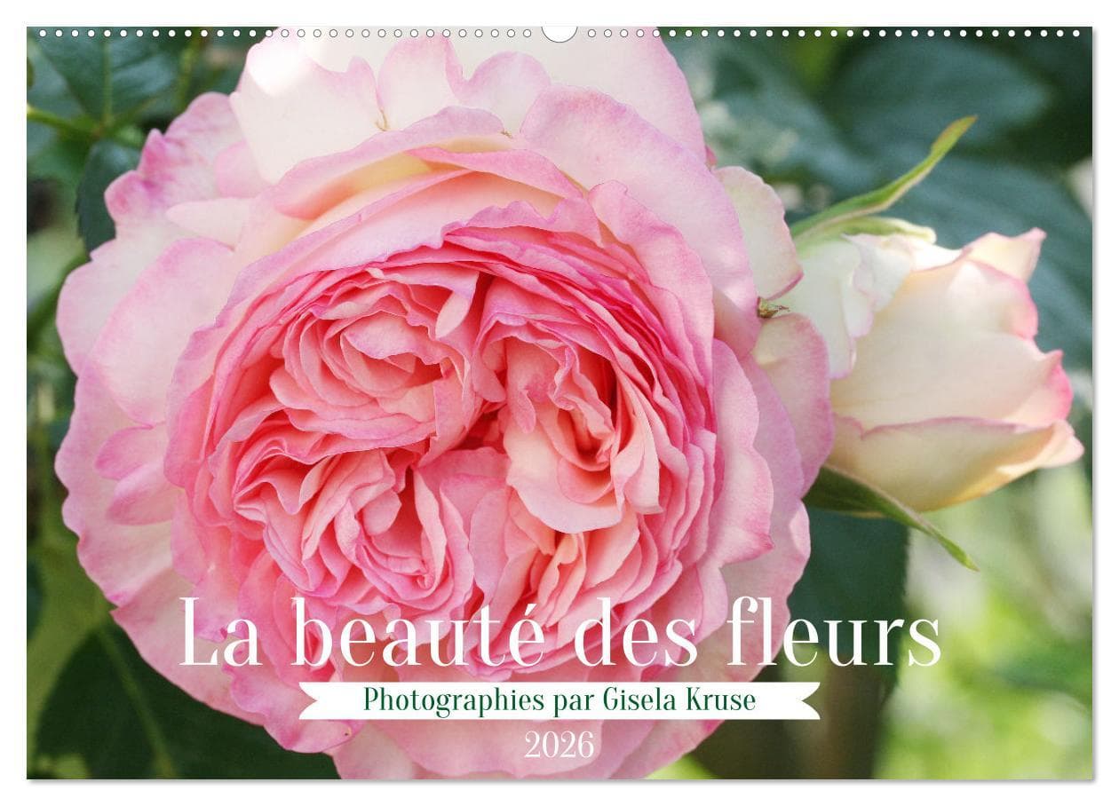 La beauté des fleurs (Calendrier mural 2026 DIN A2 vertical), CALVENDO calendrier mensuel