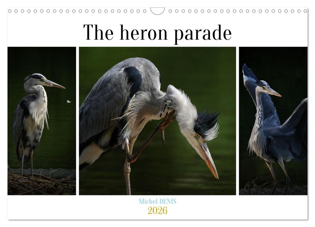 The heron parade (Wall Calendar 2026 DIN A3 landscape), CALVENDO 12 Month Wall Calendar