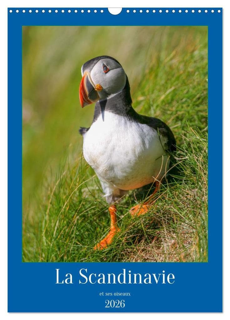 La Scandinavie et ses oiseaux (Calendrier mural 2026 DIN A3 horizontal), CALVENDO calendrier mensuel