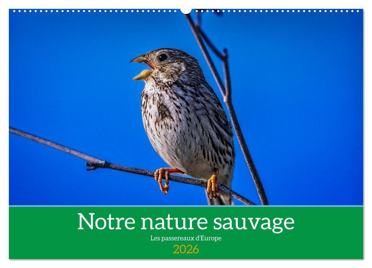 Notre nature sauvage, les passereaux d'Europe (Calendrier mural 2026 DIN A2 vertical), CALVENDO calendrier mensuel