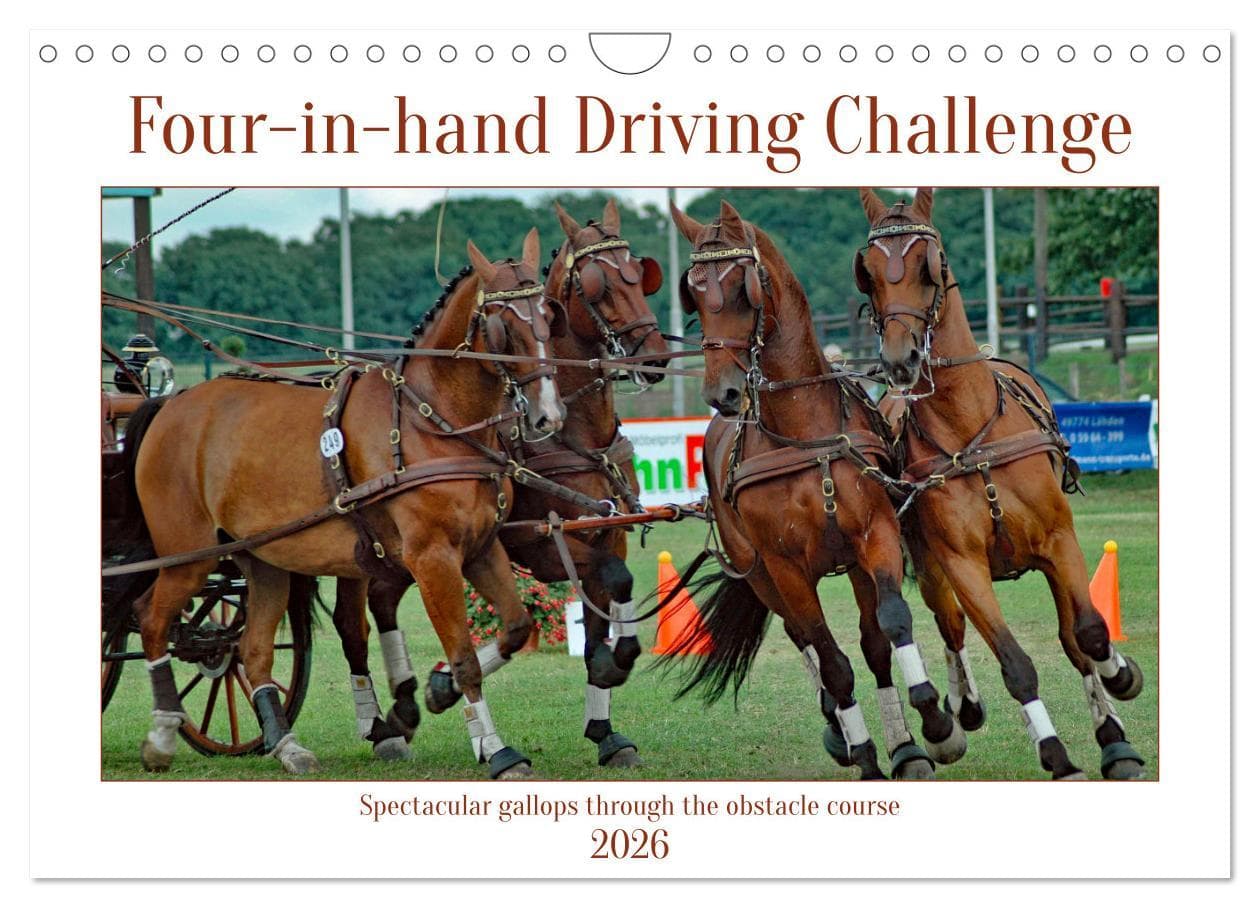 Four-in-hand Driving Challenge (Wall Calendar 2026 DIN A4 landscape), CALVENDO 12 Month Wall Calendar