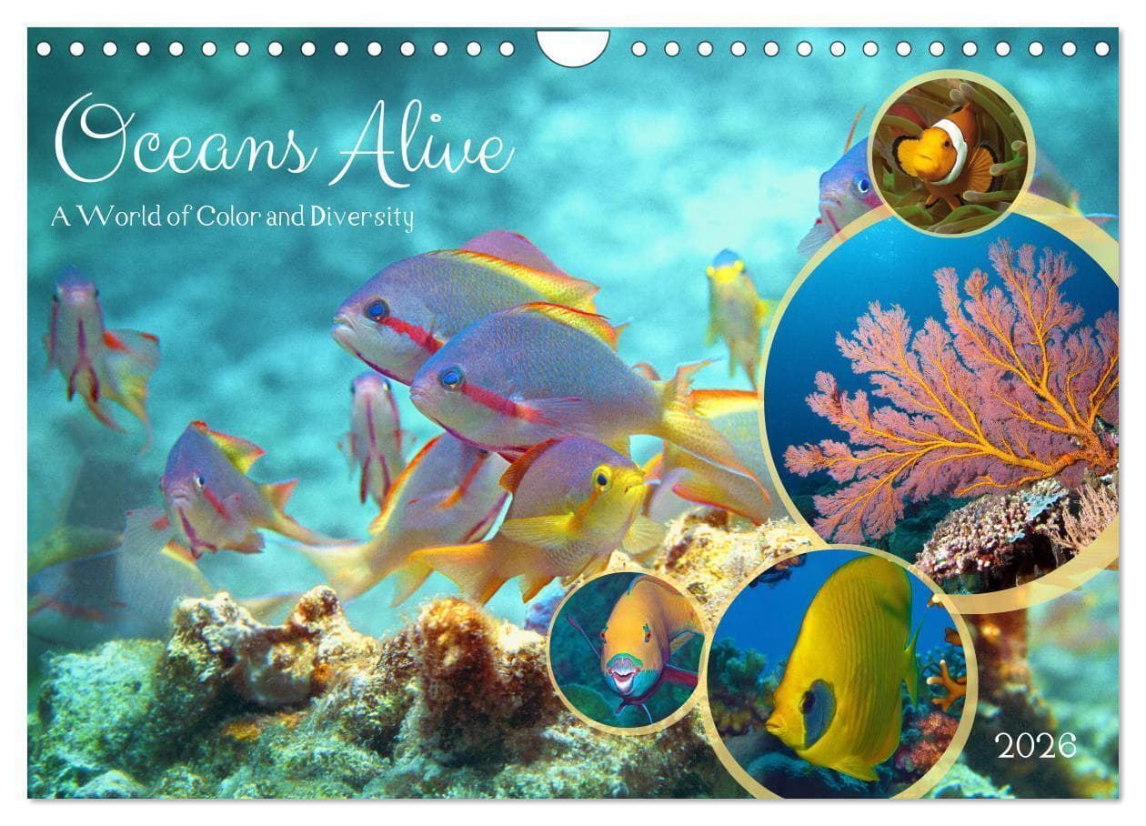Oceans Alive - A World of Color and Diversity (Wall Calendar 2026 DIN A4 landscape), CALVENDO 12 Month Wall Calendar