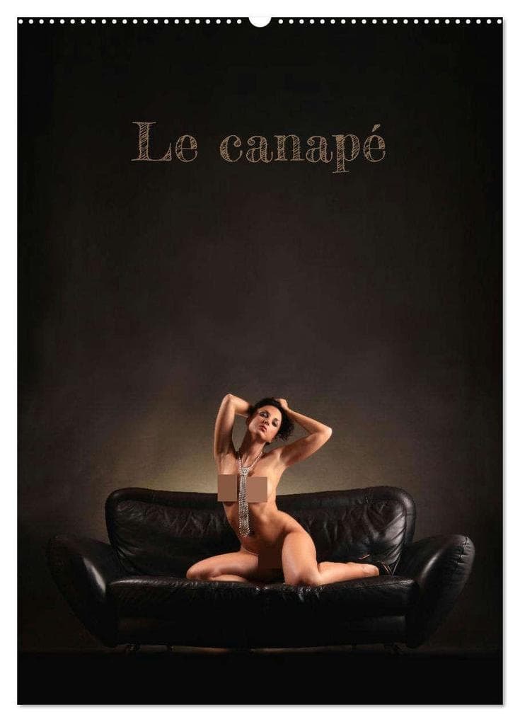 Le canapé (Calendrier mural 2026 DIN A2 horizontal), CALVENDO calendrier mensuel