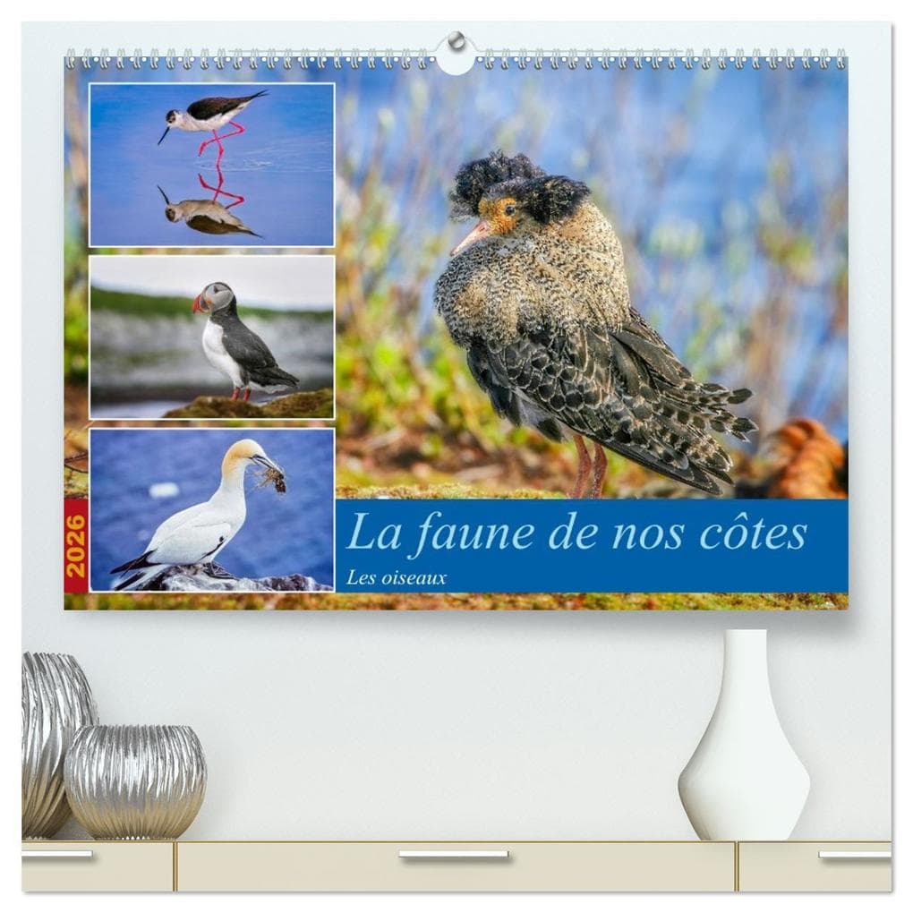 La faune de nos côtes les oiseaux (Calendrier mural 2026 DIN A2 vertical) calendrier de bureau