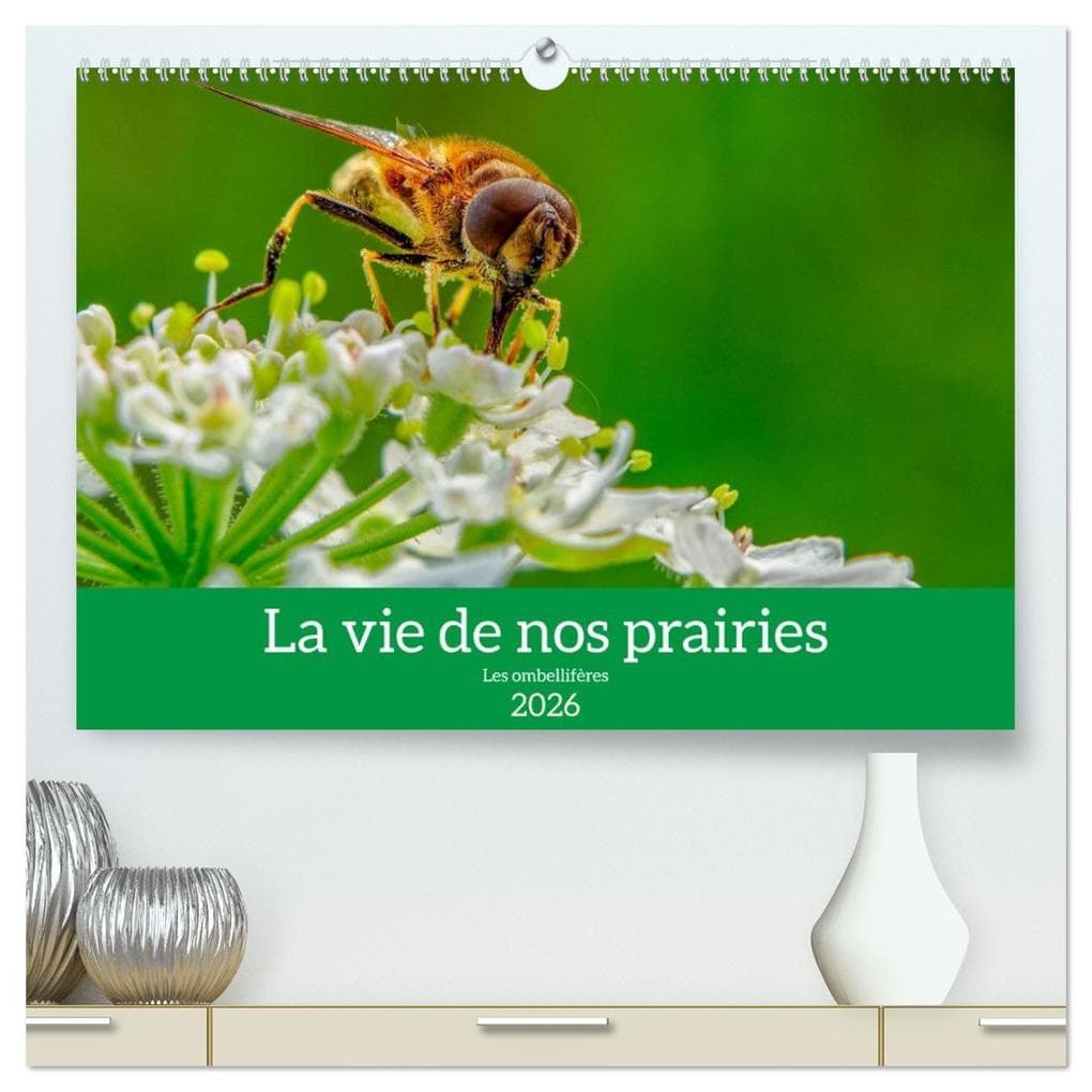 La vie de nos prairie, les ombellifères (Calendrier mural 2026 DIN A2 vertical) calendrier de bureau