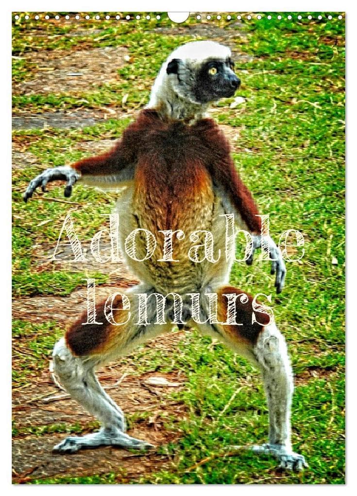 Adorable lemurs (Wall Calendar 2026 DIN A3 portrait), CALVENDO 12 Month Wall Calendar