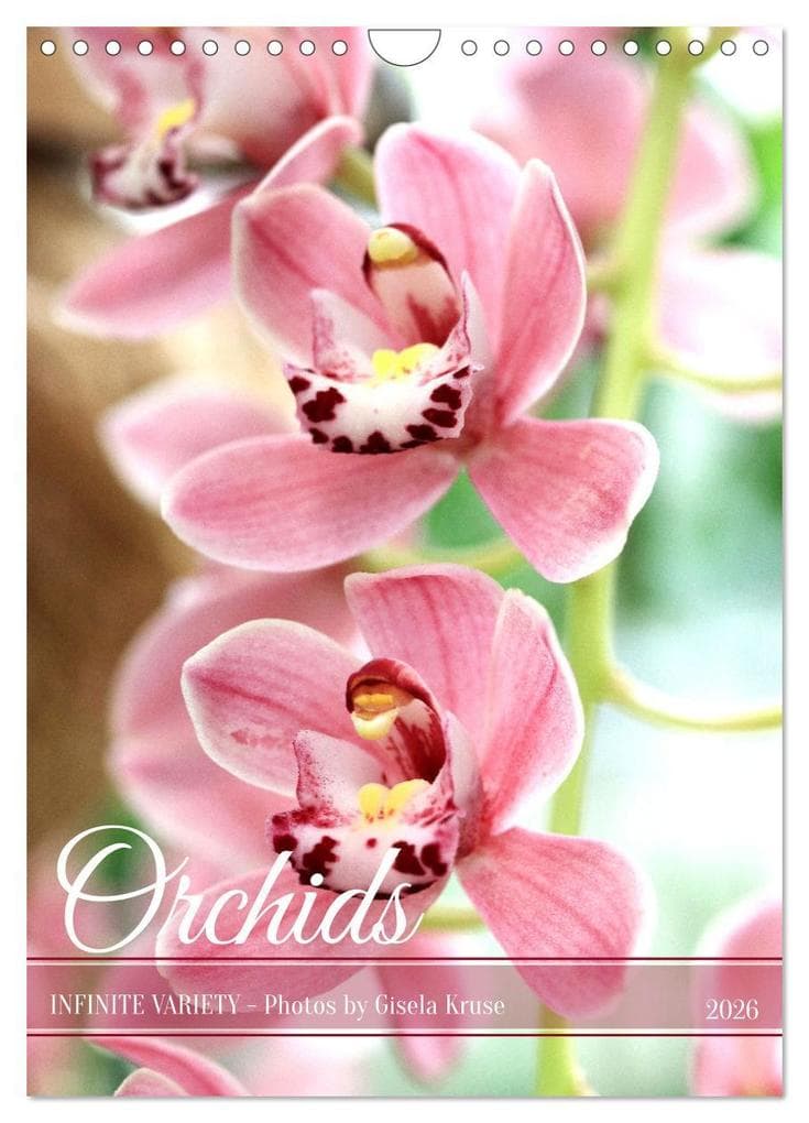 Orchids - Infinite Variety (Wall Calendar 2026 DIN A4 portrait), CALVENDO 12 Month Wall Calendar