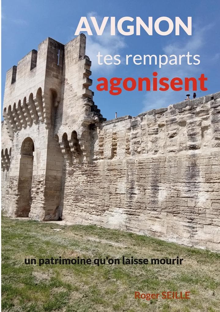 Avignon, tes remparts agonisent