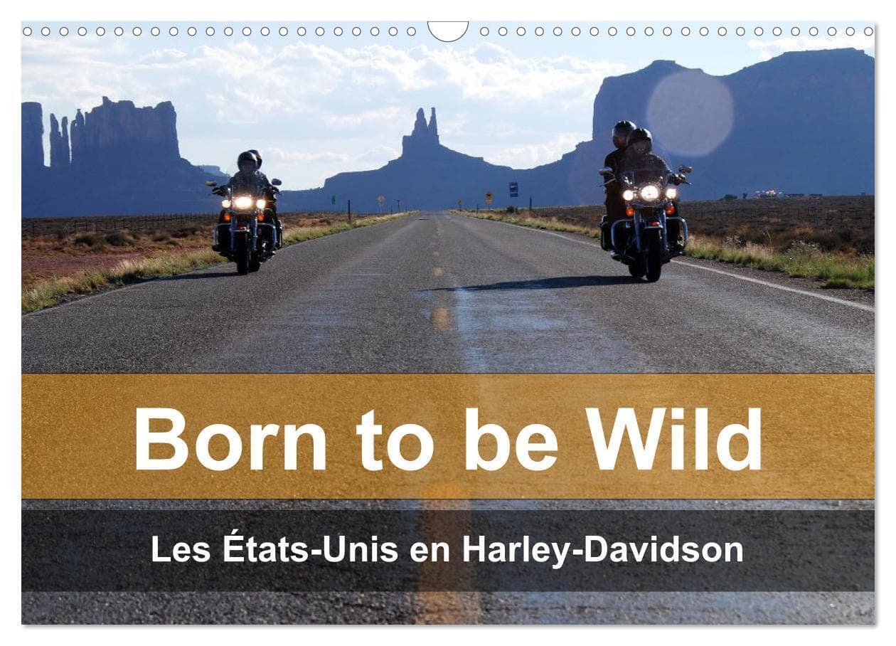 Born to be wild - Les États-Unis en Harley-Davidson (Calendrier mural 2026 DIN A3 vertical), CALVENDO calendrier mensuel
