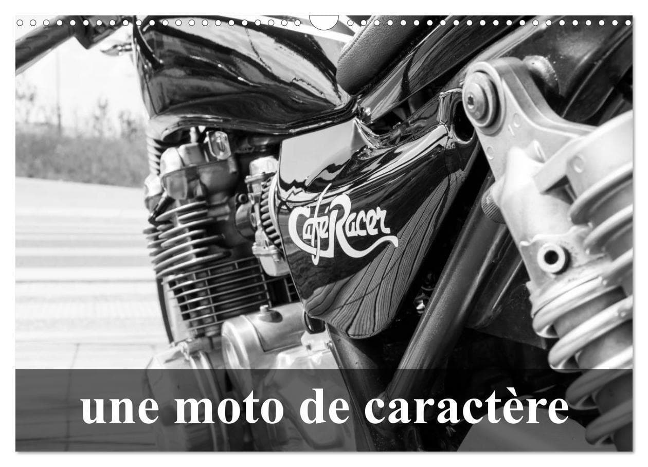 Une moto de caractère (Calendrier mural 2026 DIN A3 vertical), CALVENDO calendrier mensuel