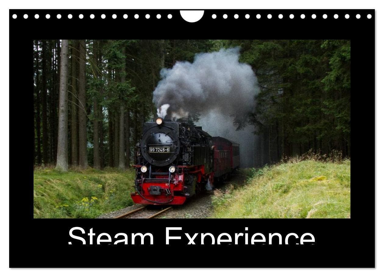 Steam Experience (Wall Calendar 2026 DIN A4 landscape), CALVENDO 12 Month Wall Calendar