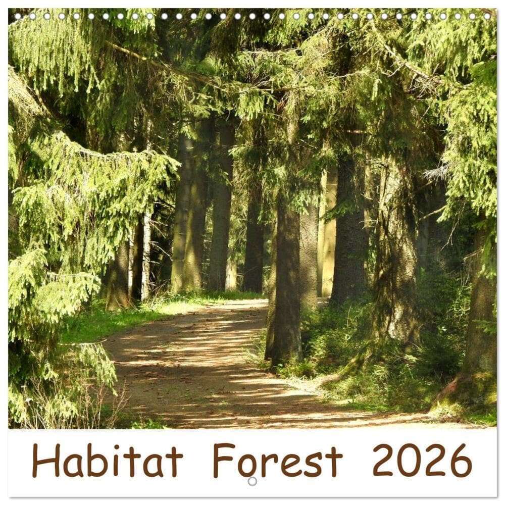 Habitat Forest (Wall Calendar 2026 12 × 12 Inch) CALVENDO 12 Month Wall Calendar