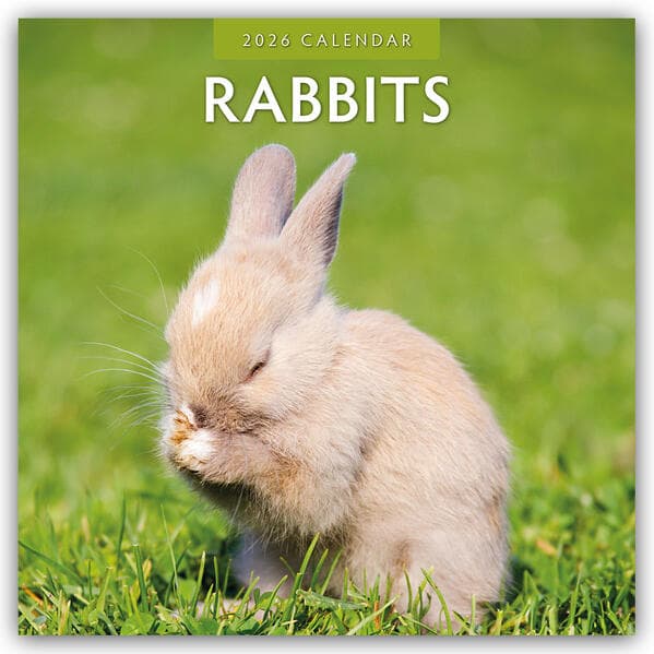 Rabbits - Hasen - Kaninchen 2026 - 16-Monatskalender