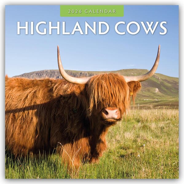Highland Cows 2026 Square Wall Calendar