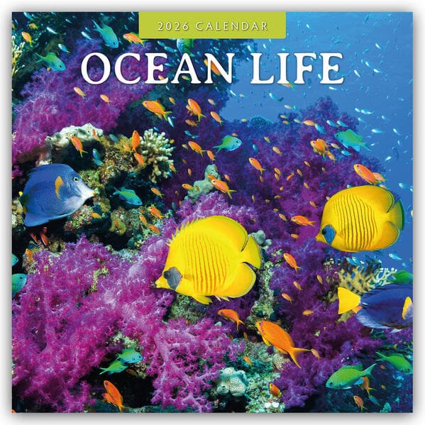 Ocean Life 2026 Square Wall Calendar