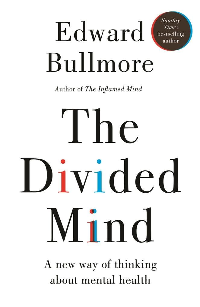 The Divided Mind