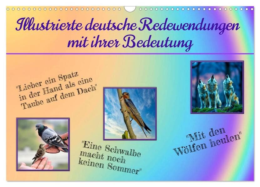 Illustrierte deutsche Redewendungen mit ihrer Bedeutung (Wandkalender 2026 DIN A3 quer), CALVENDO Monatskalender