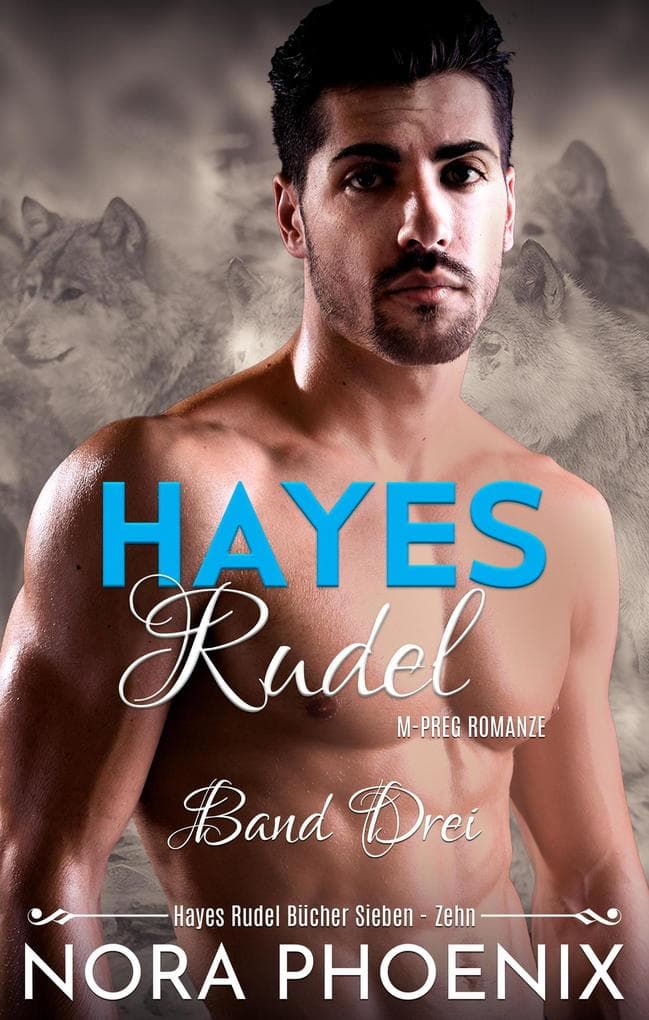 Hayes Rudel Band Drei: Hayes Rudel Bücher Sieben - Zehn