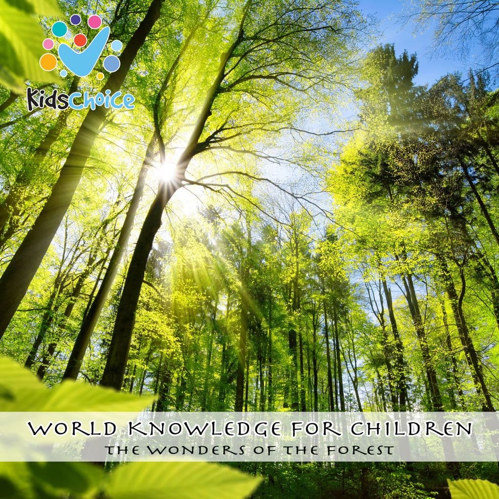 The wonders of the forest