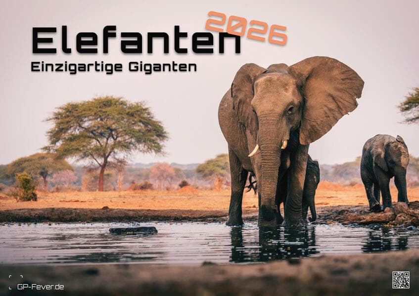 Elefanten - einzigartige Giganten - 2026 - Kalender DIN A3